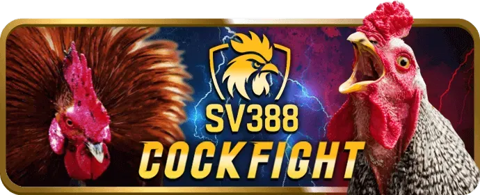 Tiền thưởng chào mừng hấp dẫn tại win55 nhận